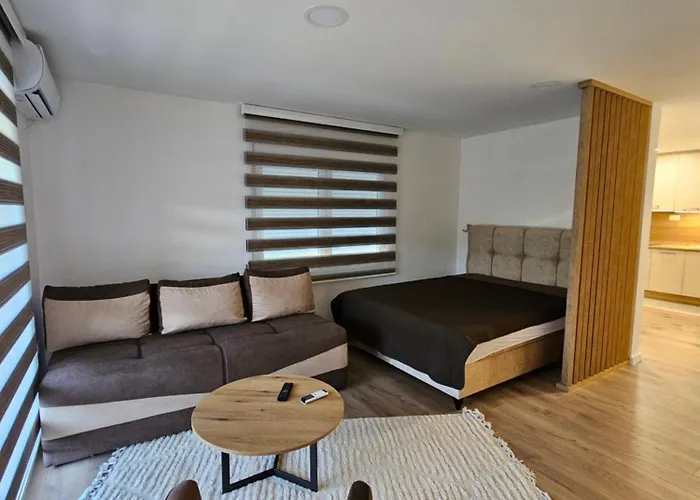 Apartment Anita Cetinje 2